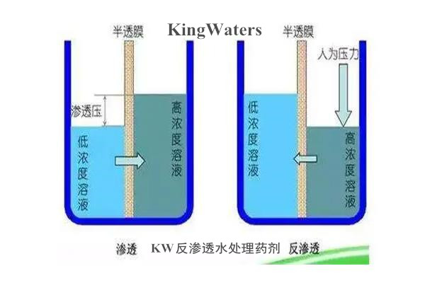 KW1700高硬水反渗透膜阻垢剂适用各类进口国产膜